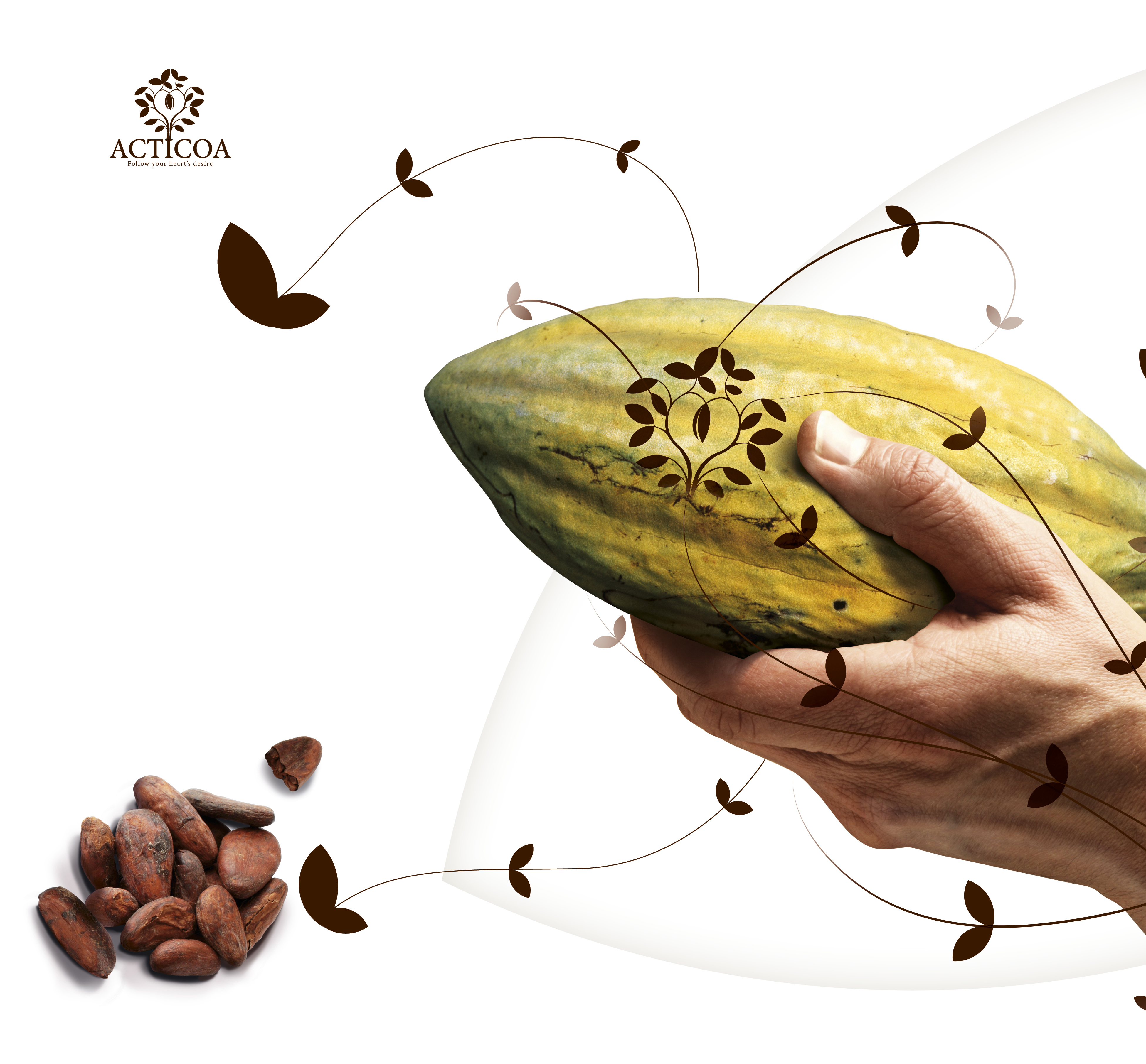 Barry Callebaut’s Cocoa Flavanols Health Claim Extended to Extracts