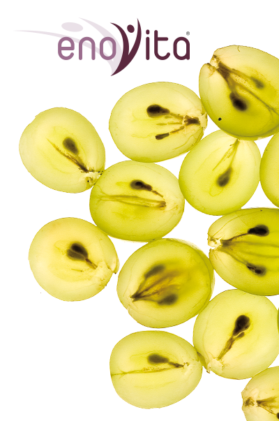 Potential Health Benefits Of Enovita Grape Seed Extract For 