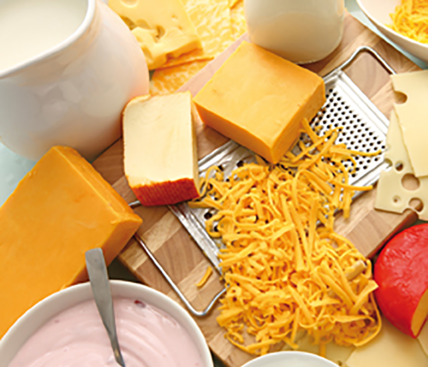 Research paper on cheese picture