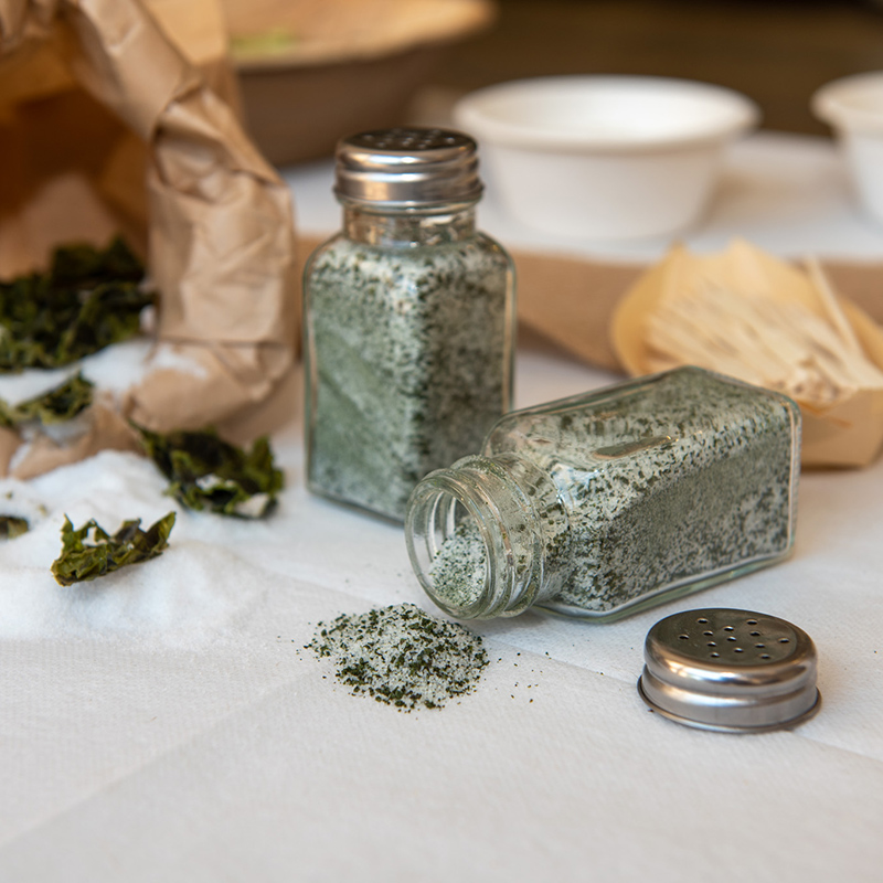 Salt Of The Earth Collaborates With Israeli Students On Seaweed Sodium Reduction And Chickpea Flavor Enhancer
