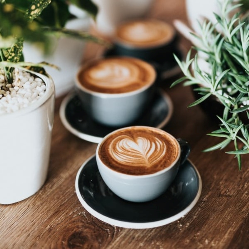Coffee at major risk from climate change while cashews and avocados face threats, warns new report - Vimarsana News