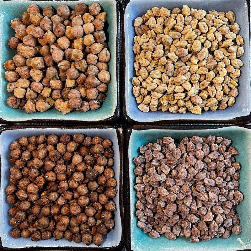 NuCicer propels plant-based innovation with ultra-high protein chickpeas - Vimarsana News