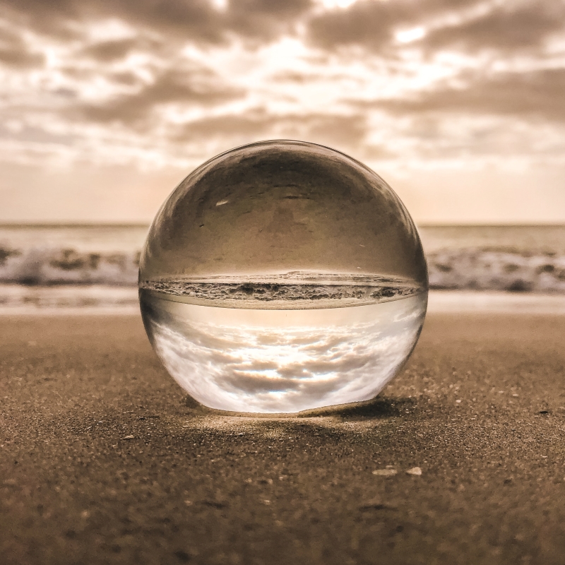 Sea the Difference: DSM expands life's algae omega 3 range, spotlights  marine ecosystems