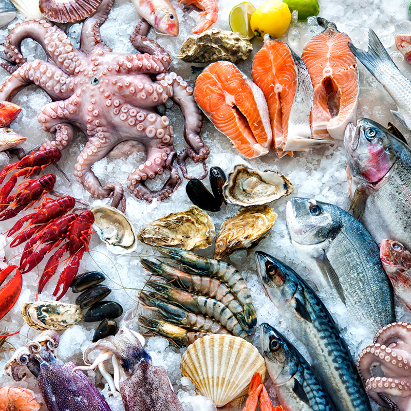 Senegal fish processors rally against fish industry pollution to safeguard health and traditional economy - Vimarsana News