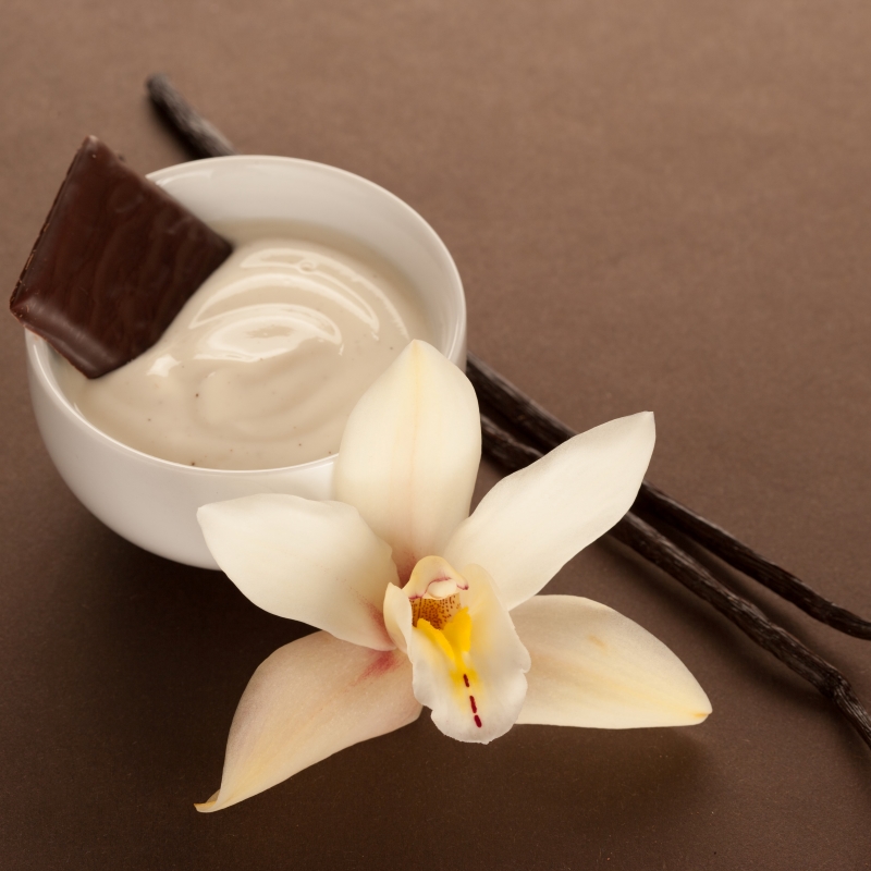 Sustainable vanilla initiatives: Traceable, transparent and responsible supply chains in focus - Vimarsana News